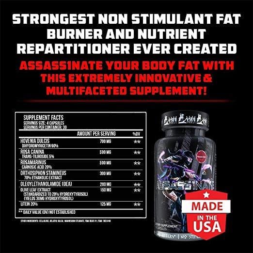 Load image into Gallery viewer, Assass1nate